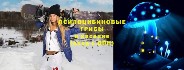 трава Аркадак