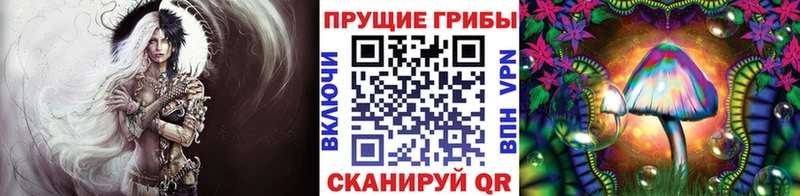 цены наркотик  Балтийск  Псилоцибиновые грибы Psilocybe 