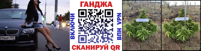 Бошки Шишки SATIVA & INDICA  купить закладку  Балтийск 